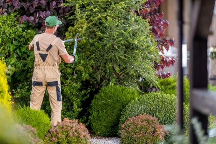 Foto di giardiniere professionista
